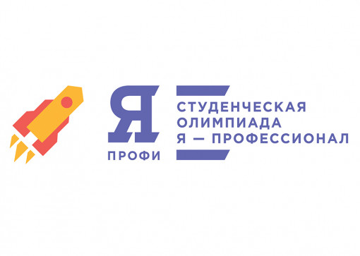 «Я — профессионал»